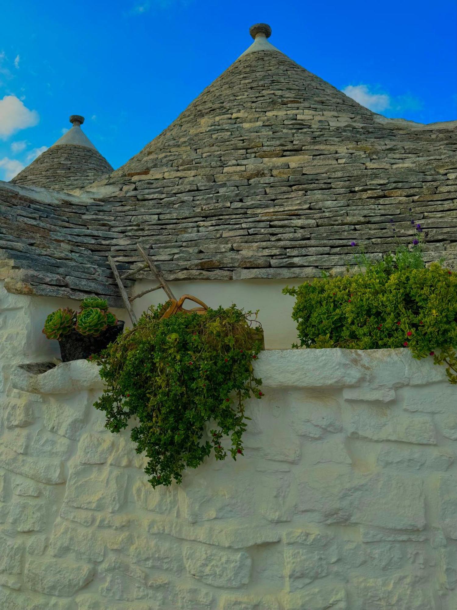 Vila Trullo Galileo Alberobello Exteriér fotografie